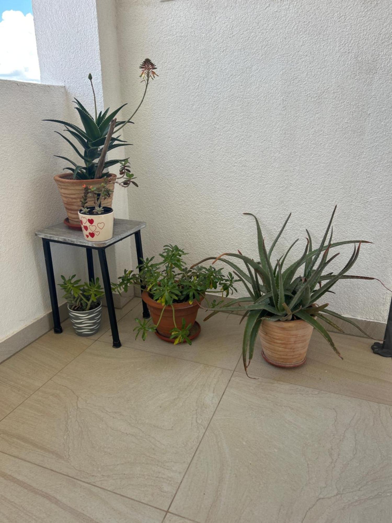 Apartments Purkovic Водице Екстериор снимка
